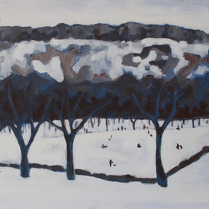 featured image thumbnail for post Toboggan run Mont Royal