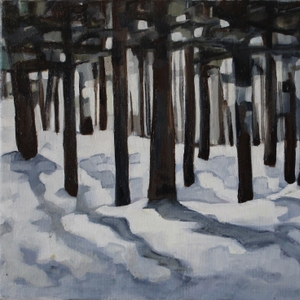 featured image thumbnail for post Winter Forest