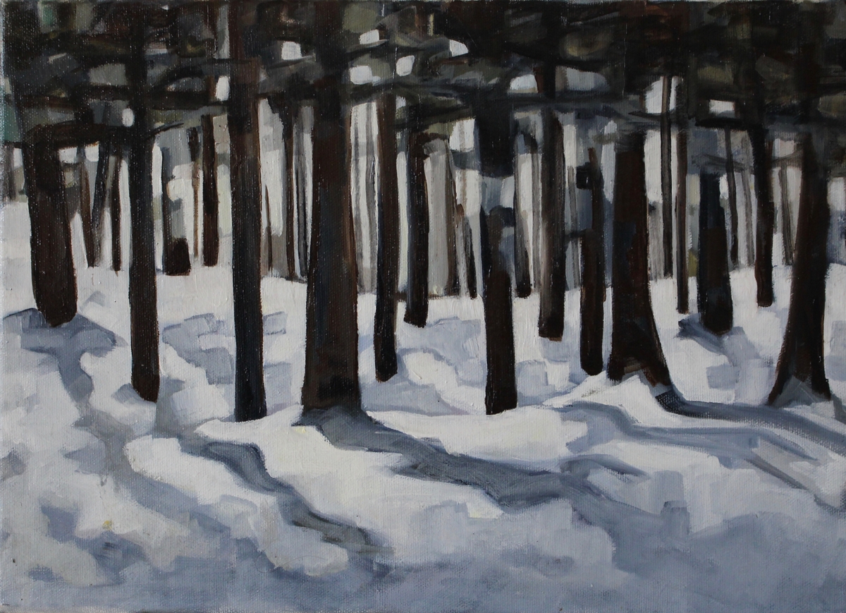 featured image for Winter Forest